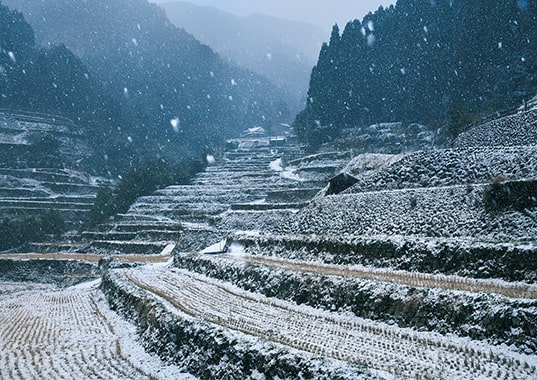 雪降りのつづら棚田